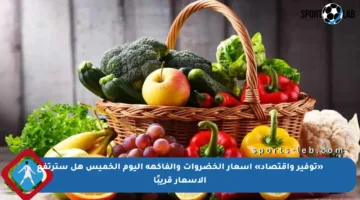 «توفير واقتصاد» أسعار الخضروات والفاكهة اليوم الخميس هل سترتفع الأسعار قريبًا